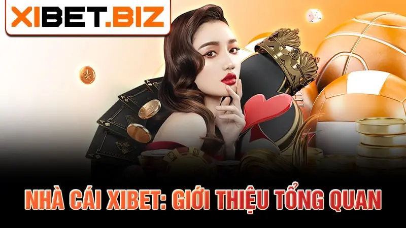 Nhà cái Xibet: Giới thiệu tổng quan