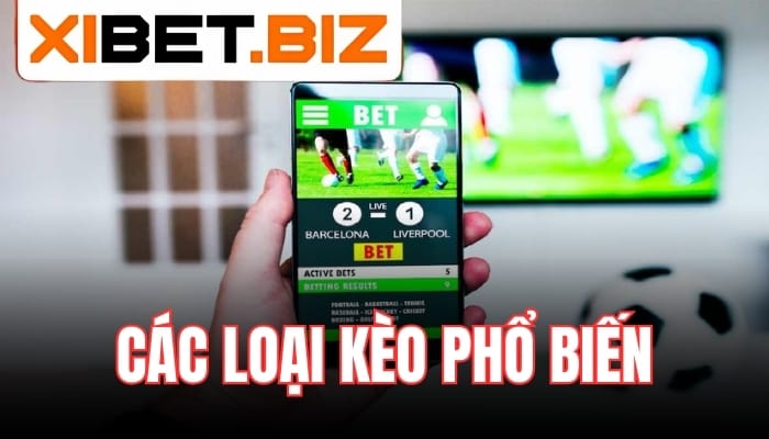 Các loại kèo phổ biến trong cá độ bóng đá