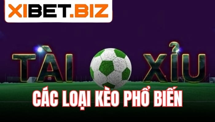 Các loại kèo bóng đá phổ biến