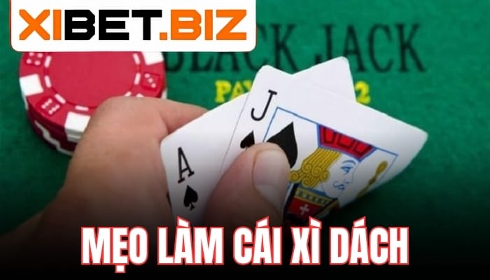 Mẹo hữu ích khi làm cái xì dách