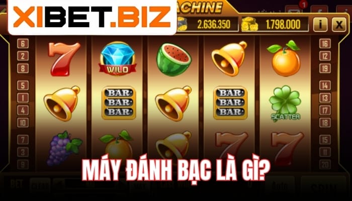 Máy đánh bạc là gì?