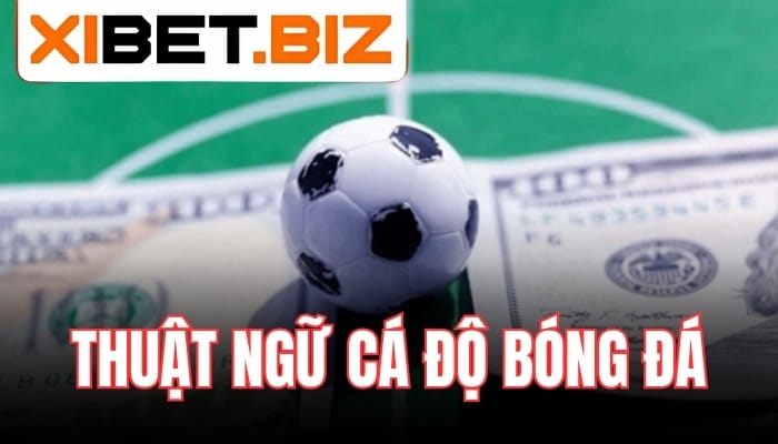 Thuật ngữ cá độ bóng đá