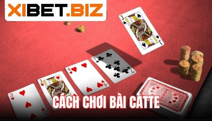 Cách chơi bài catte