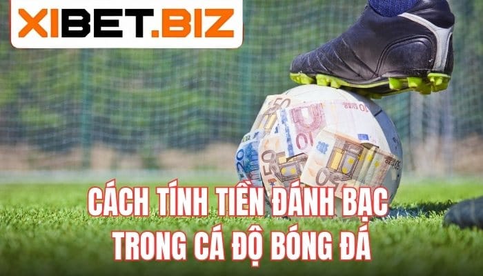 Cách Tính Tiền Đánh Bạc Trong Cá Độ Bóng Đá