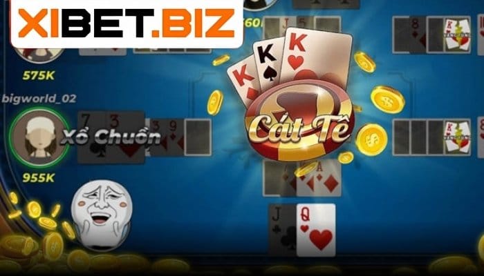 Hướng dẫn chưng bài catte