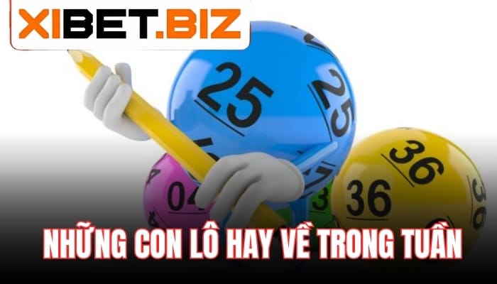 Những cặp lô hay về trong tuần theo ngày