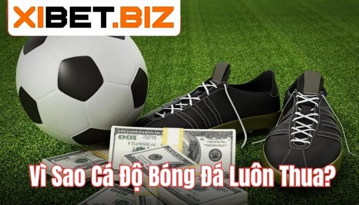 Vì sao cá độ bóng đá luôn thua