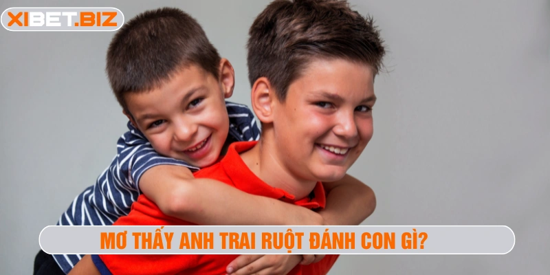 Mơ thấy anh trai ruột đánh con gì
