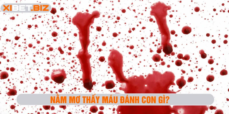 Nằm mơ thấy máu đánh con gì