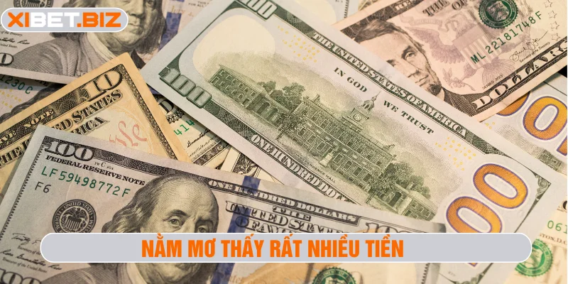 Nằm mơ thấy rất nhiều tiền đánh con gì