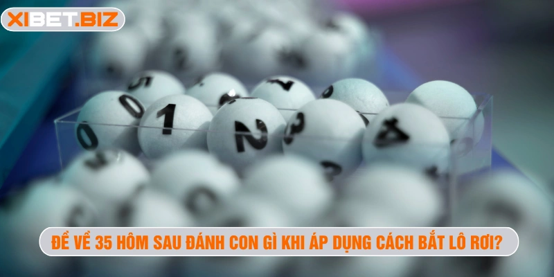 Đề về 35 hôm sau đánh con gì khi áp dụng cách bắt lô rơi