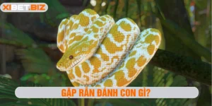 Gặp rắn đánh con gì