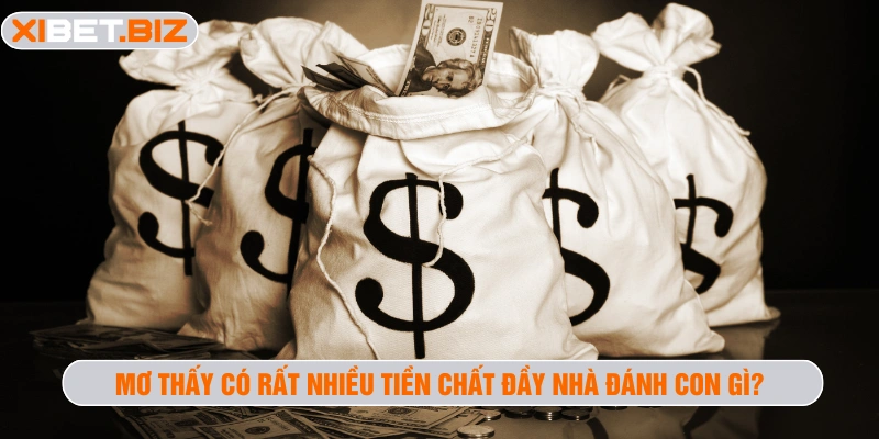 Mơ thấy có rất nhiều tiền chất đầy nhà đánh con gì
