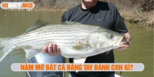 Nằm mơ bắt cá bằng tay đánh con gì