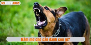 Nằm mơ chó cắn đánh con gì