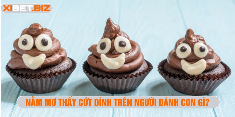 Nằm mơ thấy cứt dính trên người đánh con gì