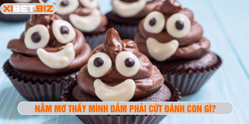Nằm mơ thấy mình dẫm phải cứt đánh con gì