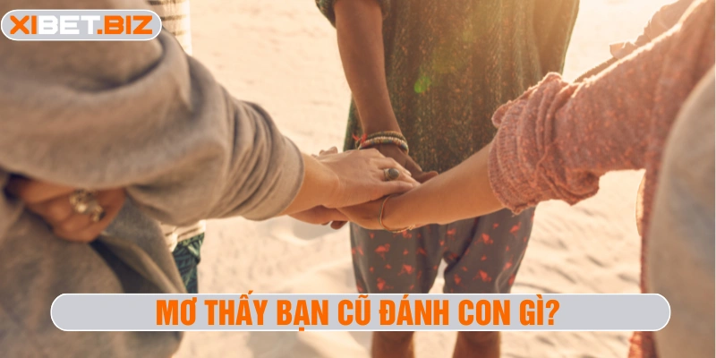 Mơ thấy bạn cũ đánh con gì?