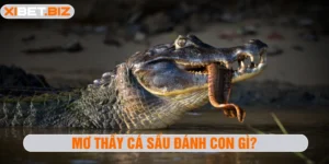 Mơ thấy cá sấu đánh con gì