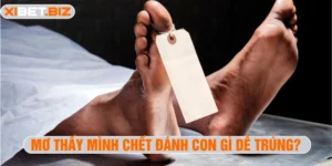 Mơ thấy mình chết đánh con gì dễ trúng