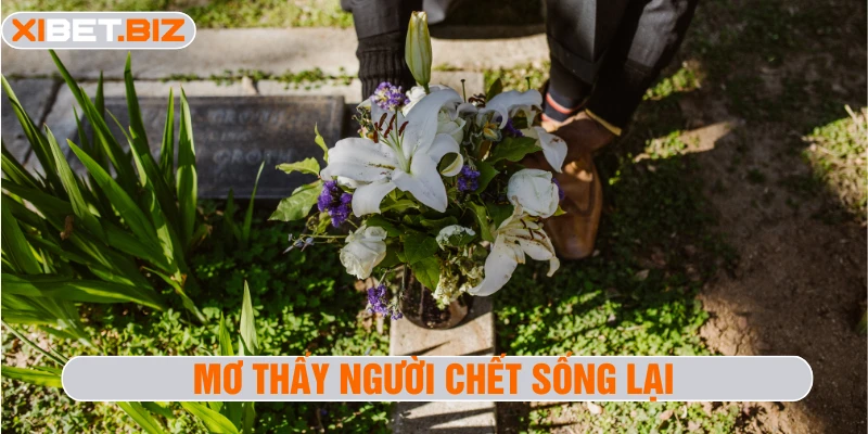 Mơ thấy người chết sống lại