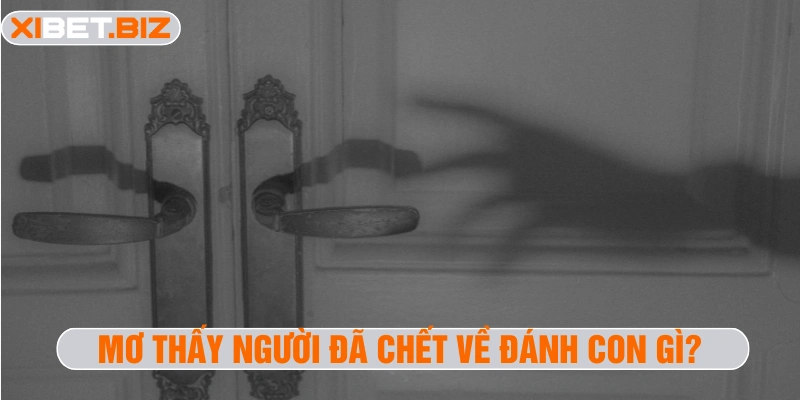 Mơ thấy người đã chết về đánh con gì