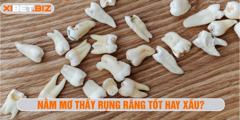 Nằm mơ thấy rụng răng tốt hay xấu?